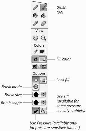 Creating Freeform Shapes | Macromedia Flash 8 for Windows & Macintosh