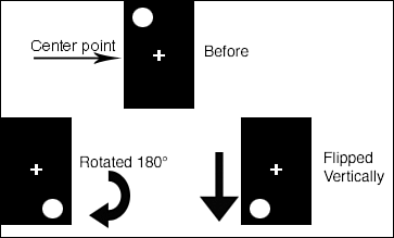 graphics/21fig16.gif