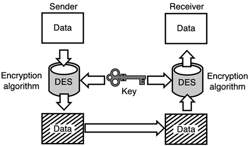 graphics/12fig05.gif