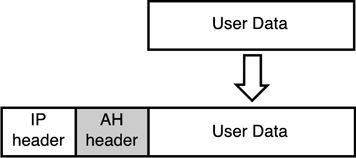 graphics/12fig06.gif