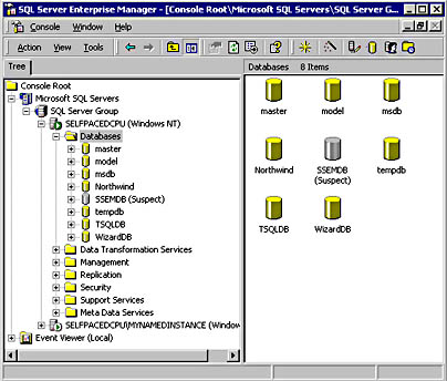  figure 9.16 - a damaged data file displayed as suspect. 