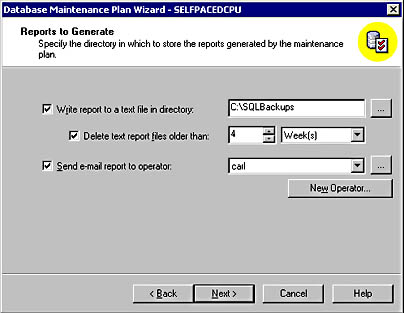  figure 13.49 - specifying options for reports. 