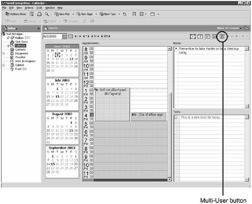 Multi User Calendars Novell GroupWise 6 5 Users Handbook