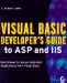 Visual Basic Developer